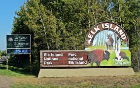 elk island photo
