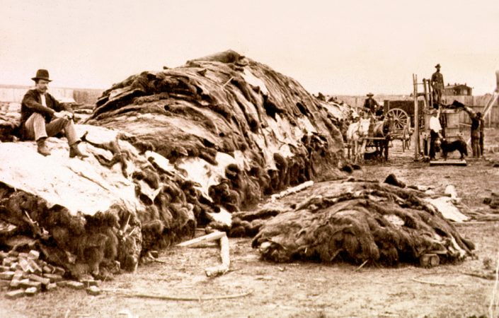 photo of hide yard  buffalo hides baled for shipment Dodge City Kansas